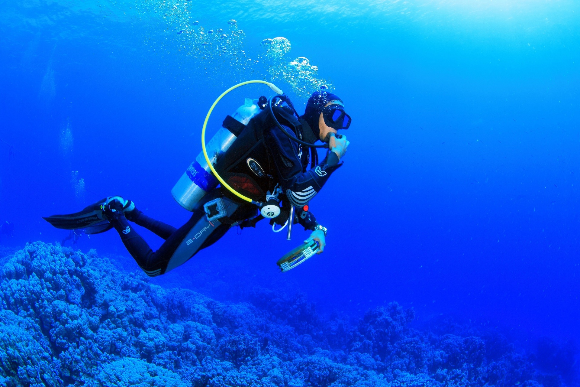 Scuba diver gliding over a coral reef in clear blue Aegean water
