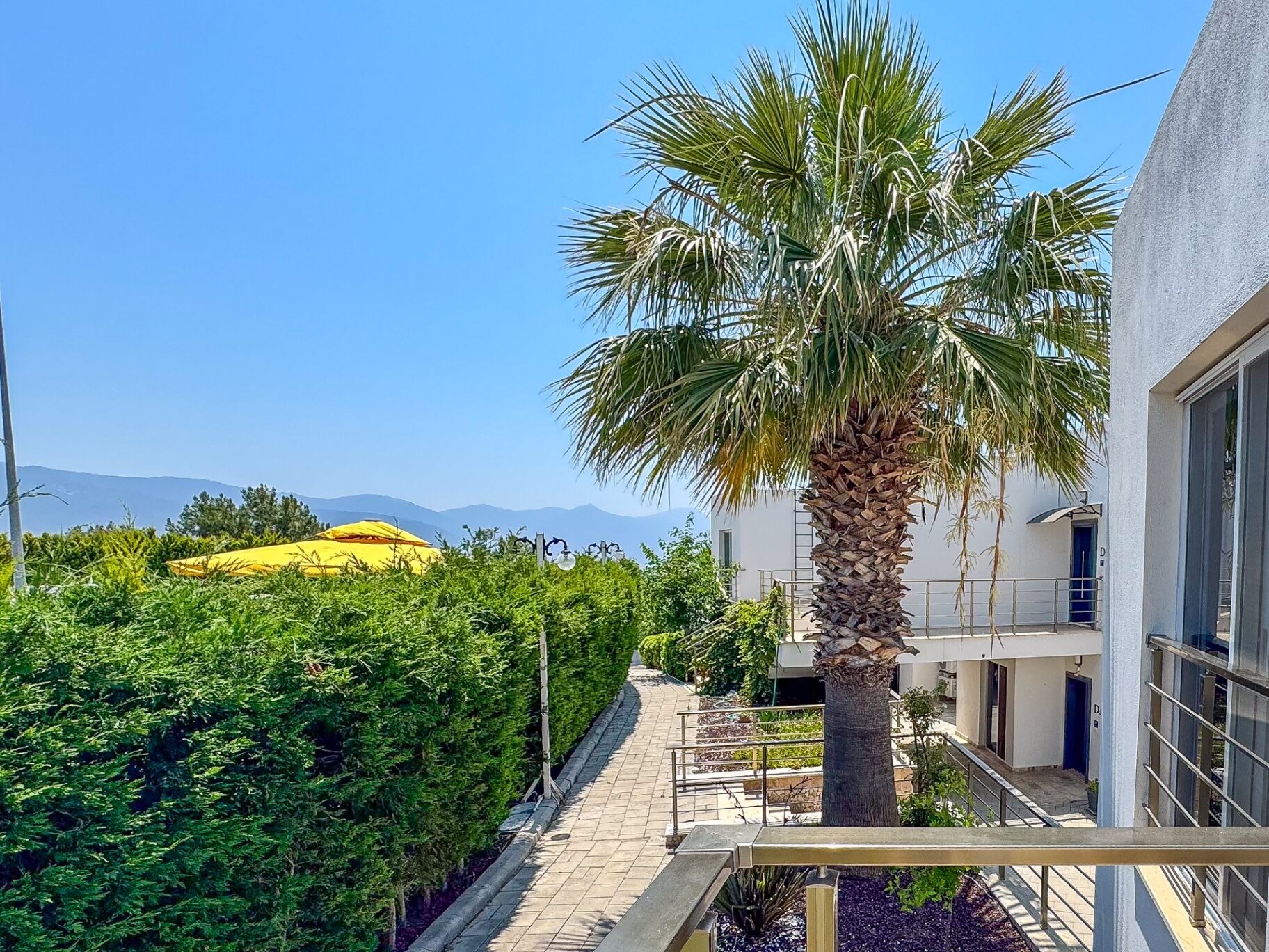Lavender Residence walkway lined with hedges, palm tree and mountain backdrop